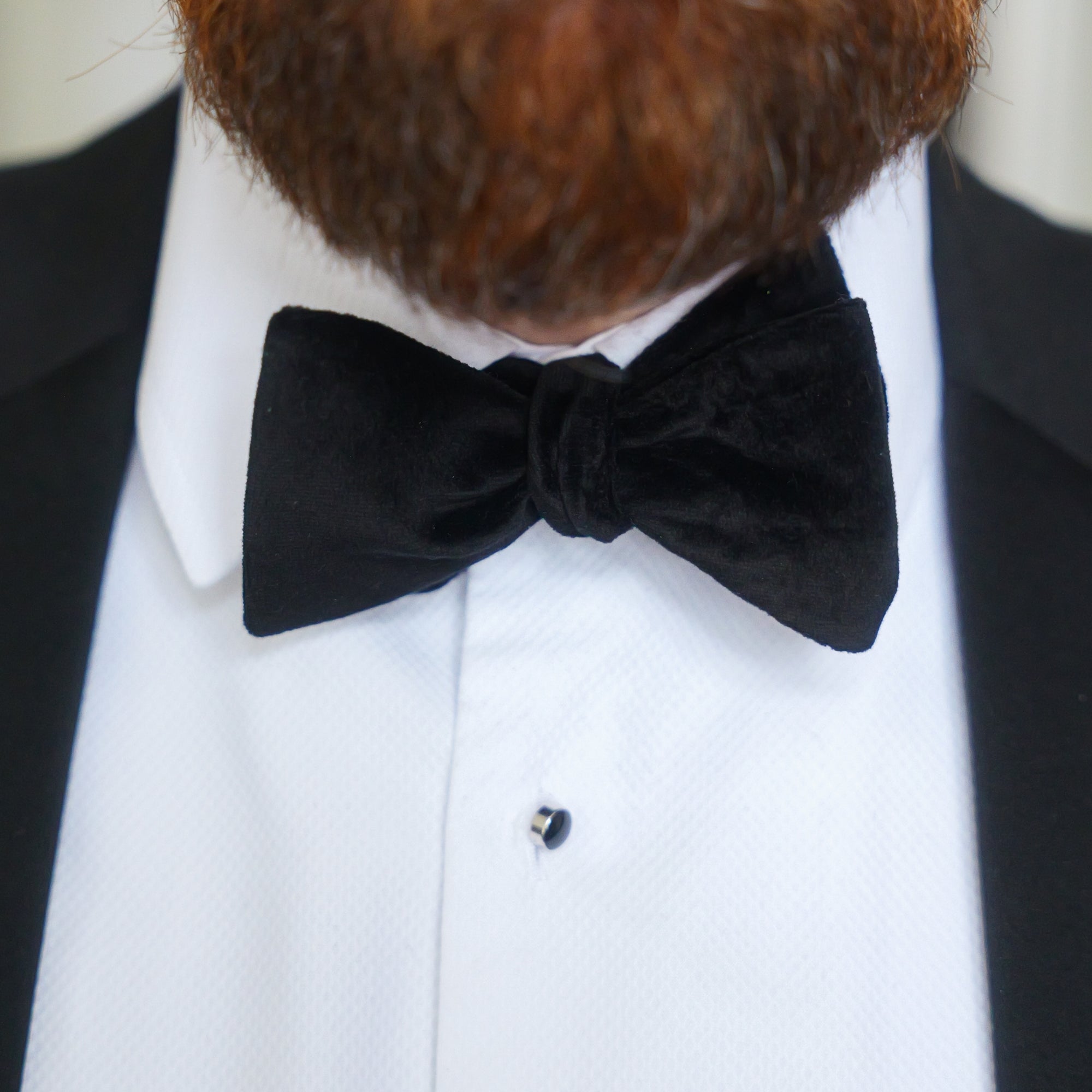 Black velvet bow tie on a white shirt and dinner jacket by the belfast bow company