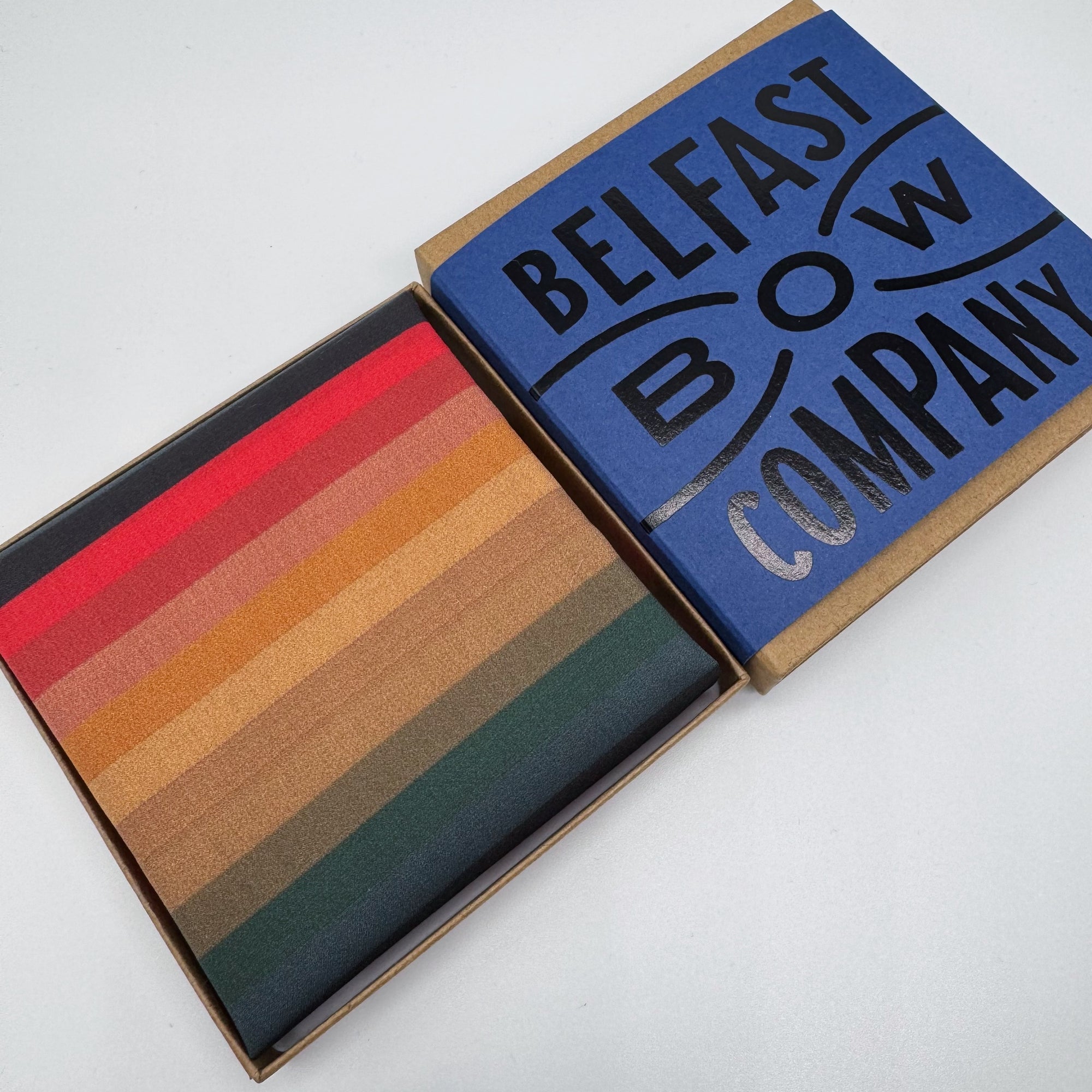 Doctor Who Pocket Square with Rainbow Stripe