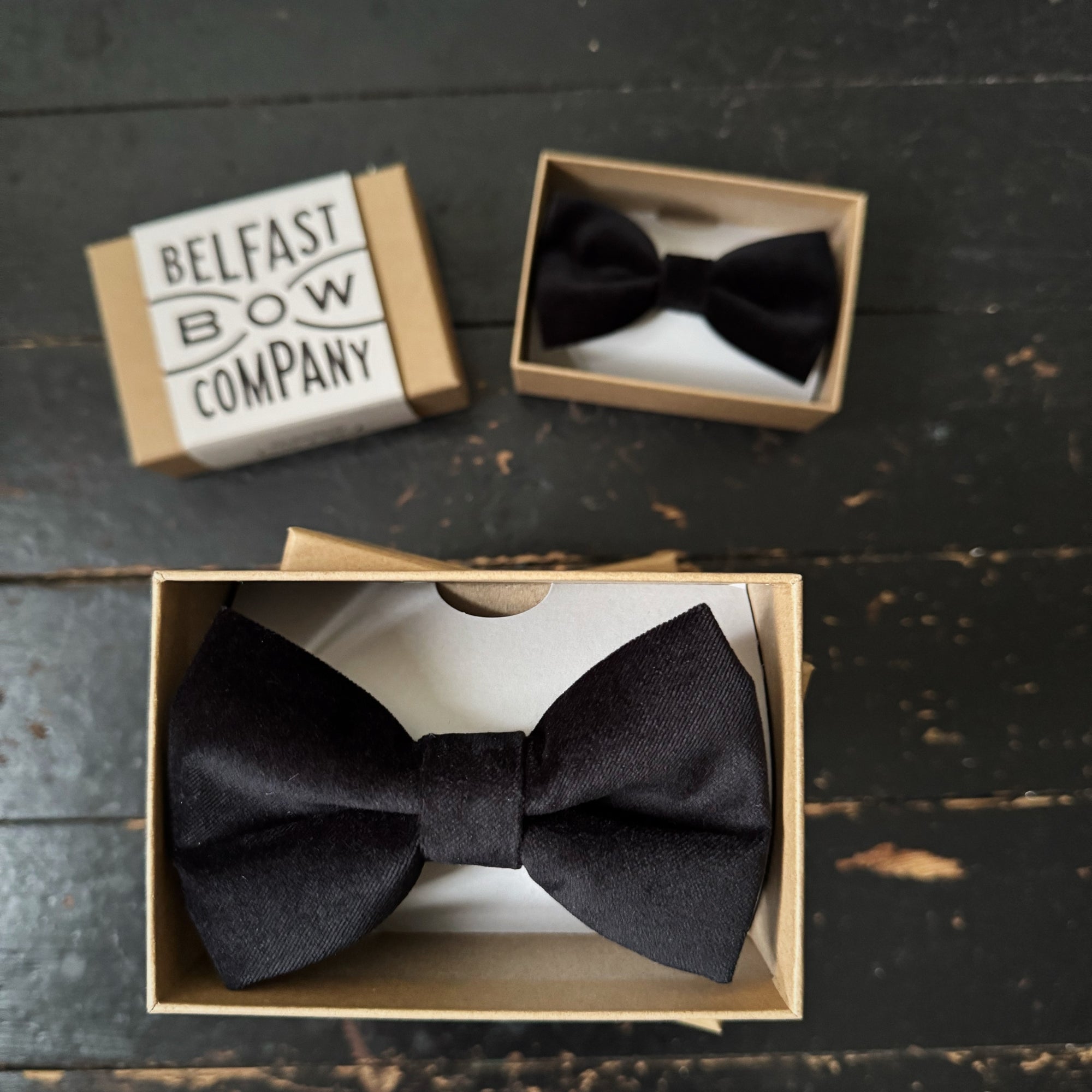 Large Black Bow Tie in Velvet
