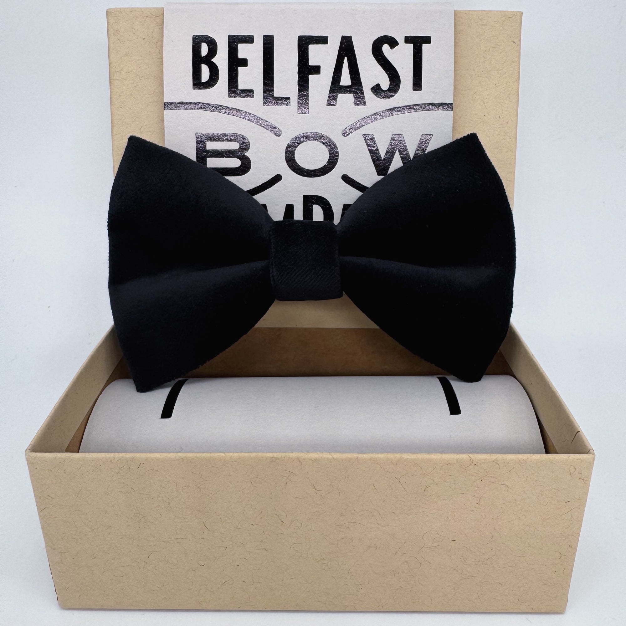 Oversized Black Bow Tie in Velvet