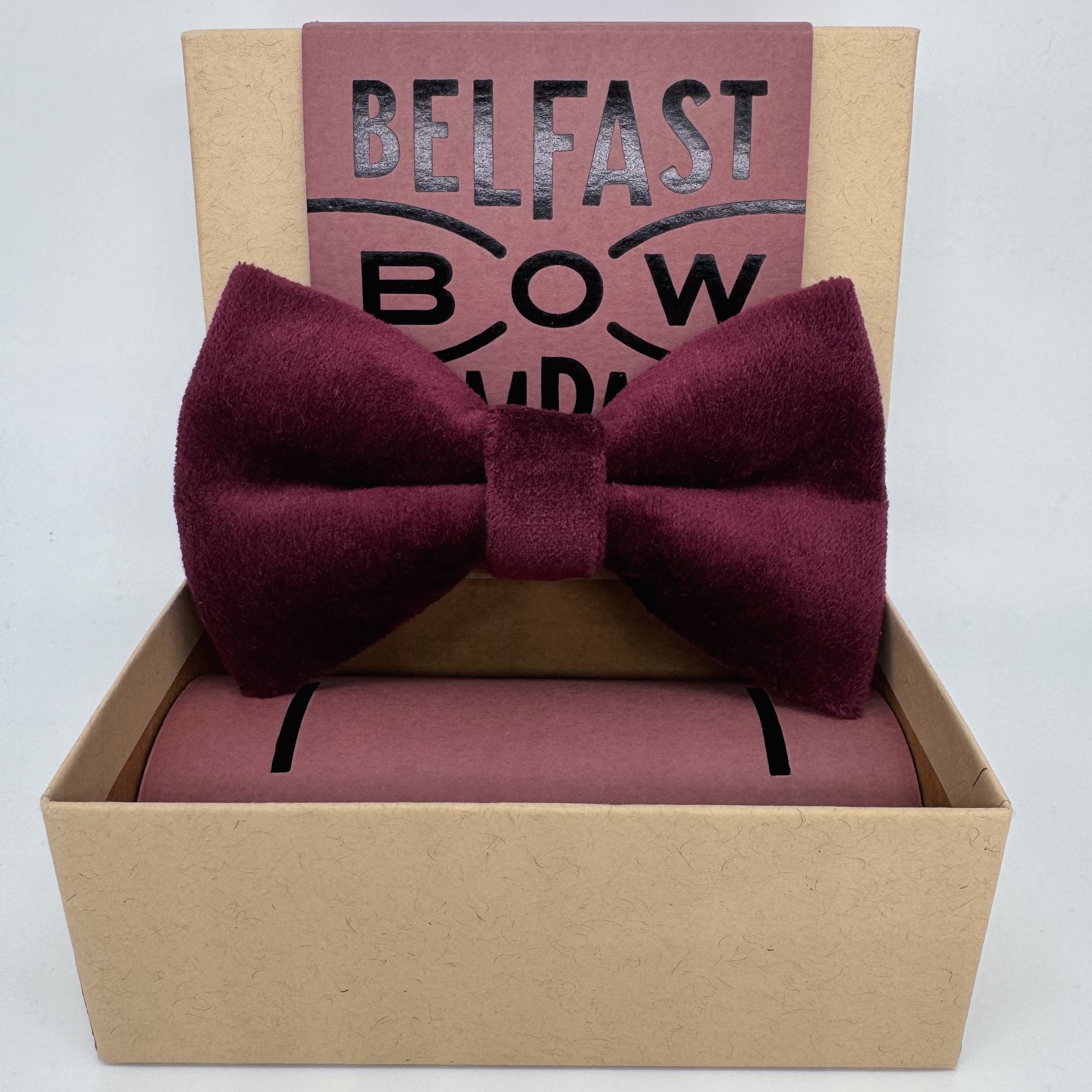 Oversized Burgundy Bow Tie in Velvet