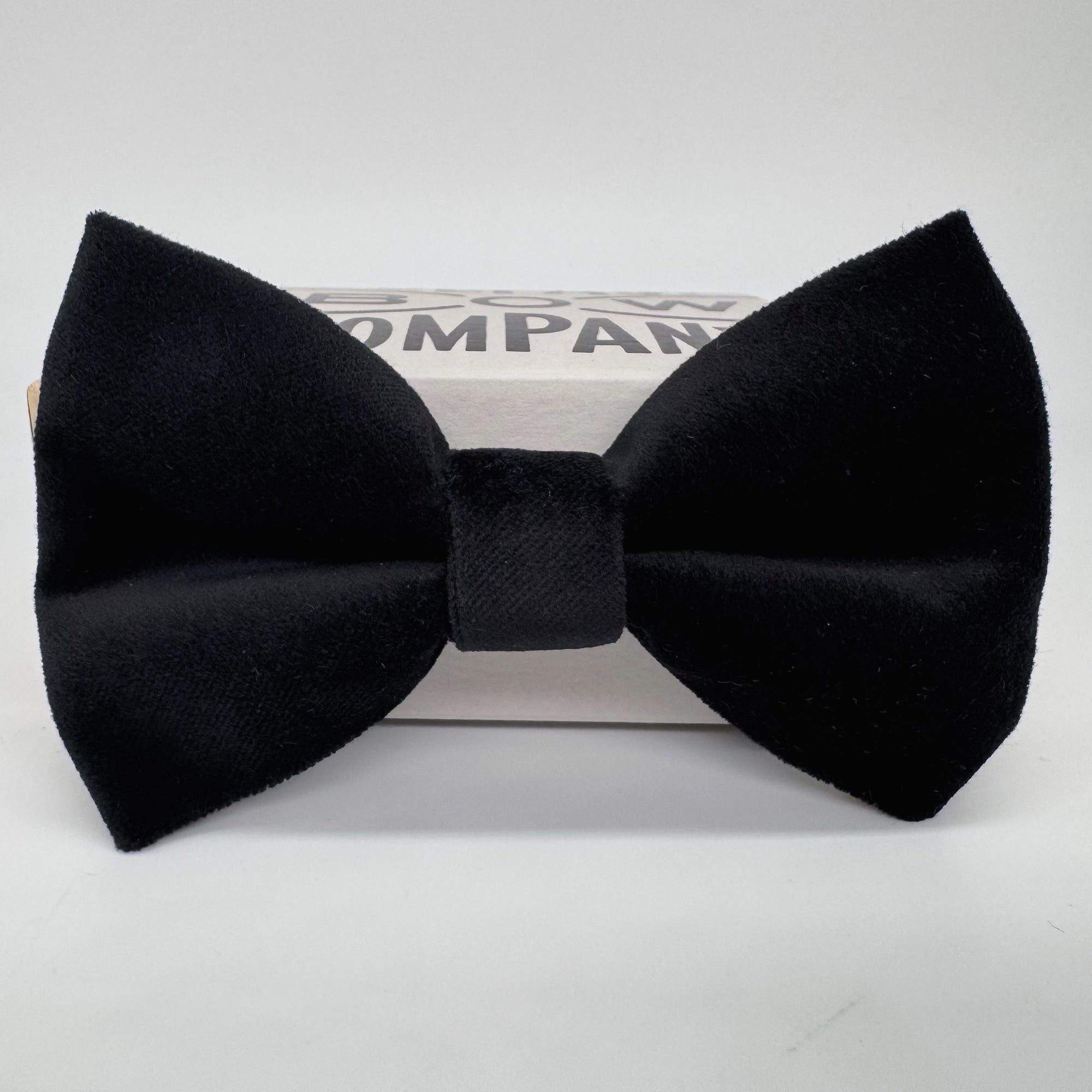Oversized Black Bow Tie in Velvet