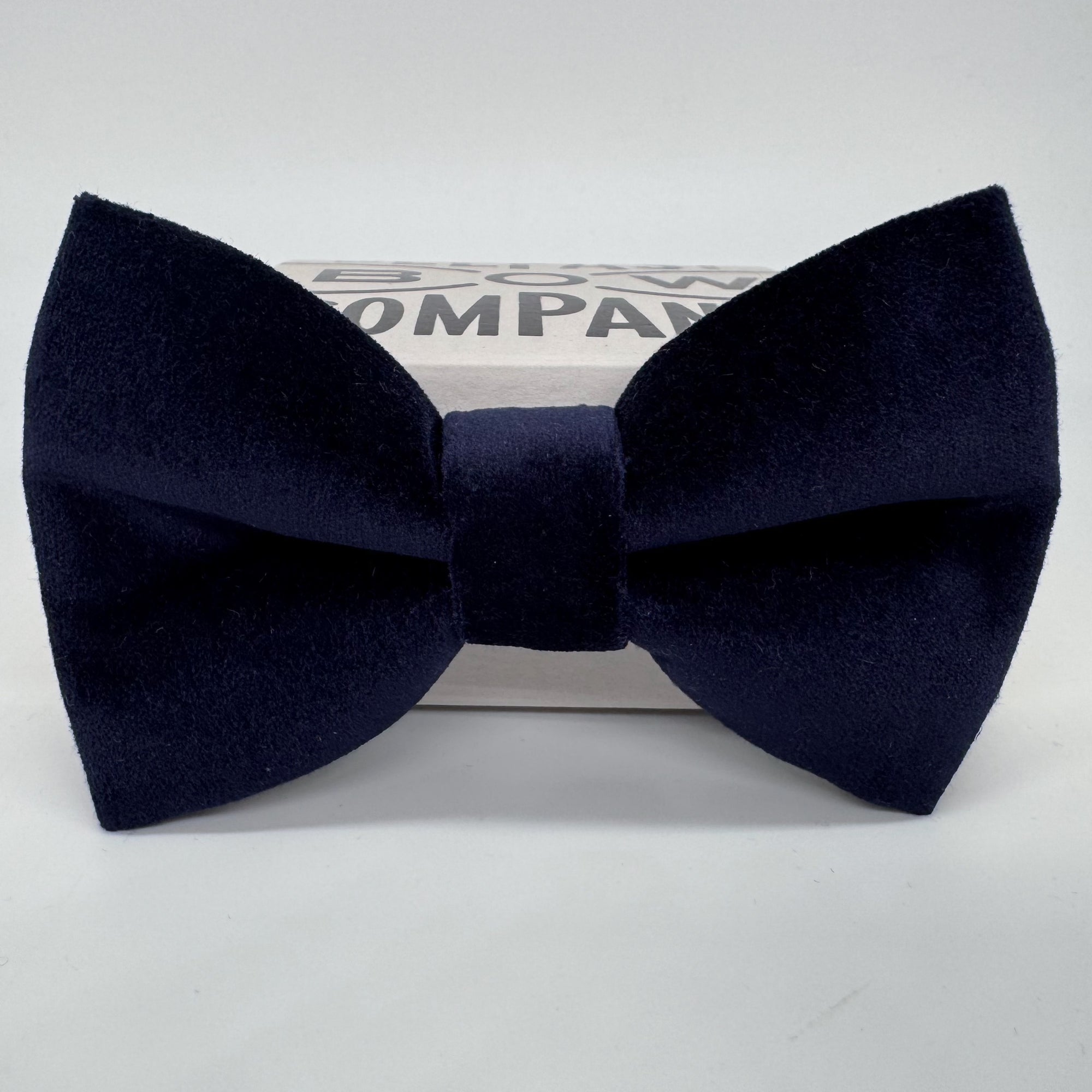 Oversized Navy Bow Tie in Velvet