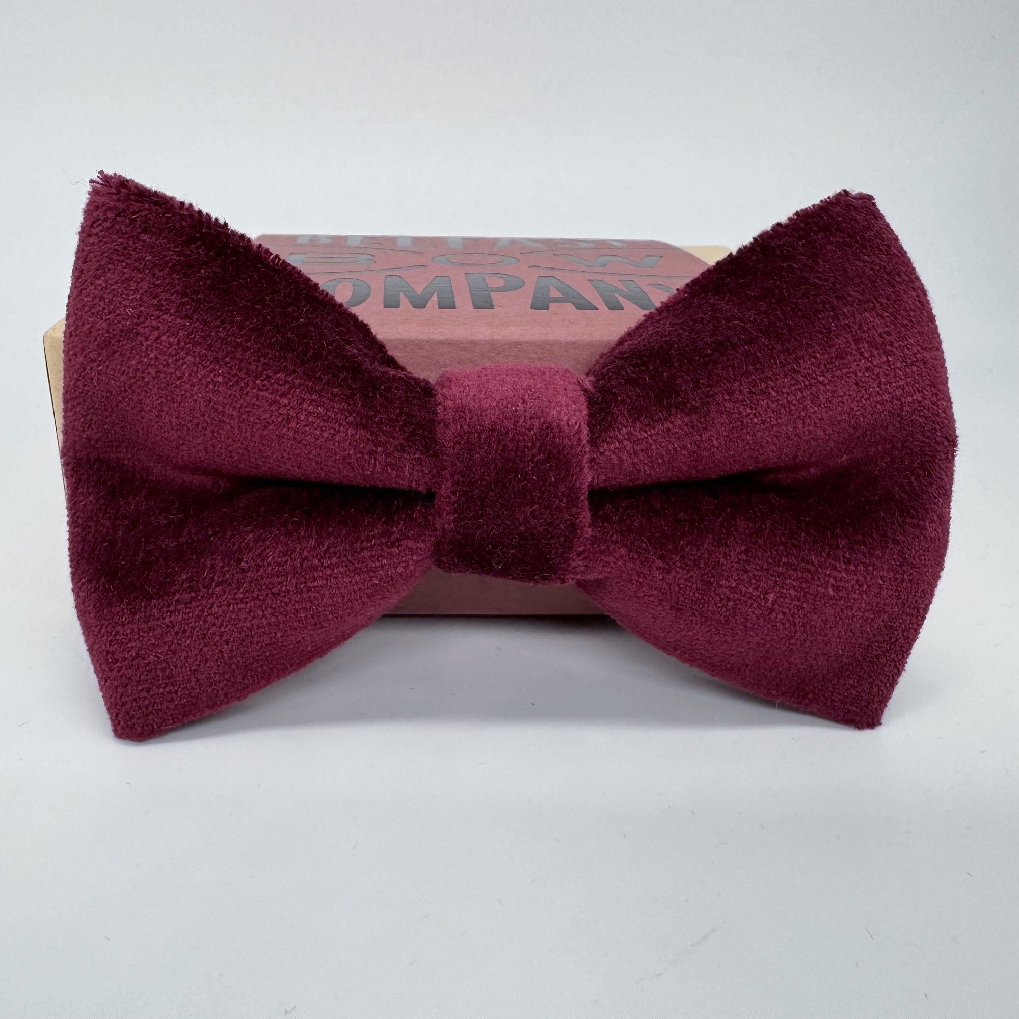 Oversized Burgundy Bow Tie in Velvet