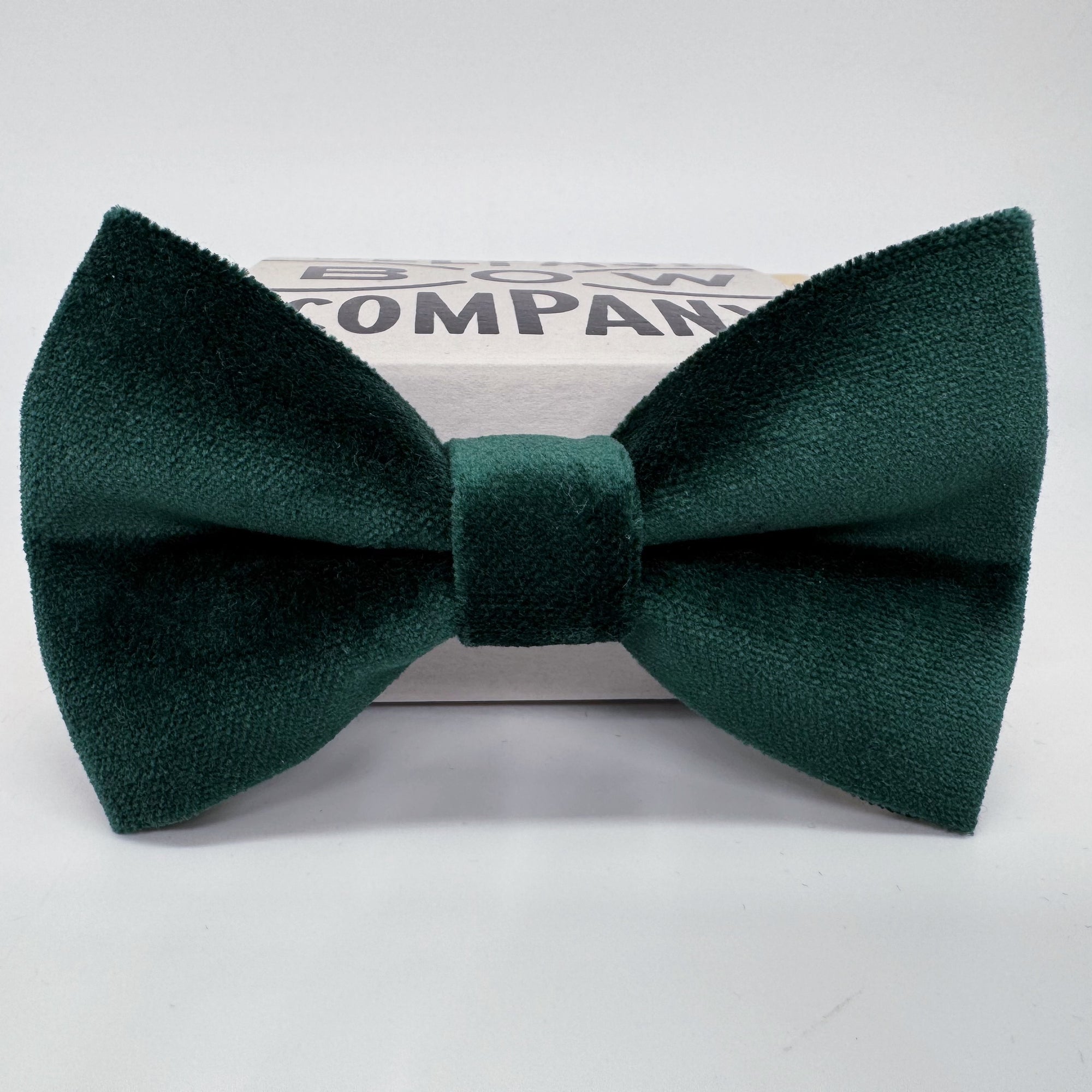 Oversized Bottle Green Bow Tie in Velvet