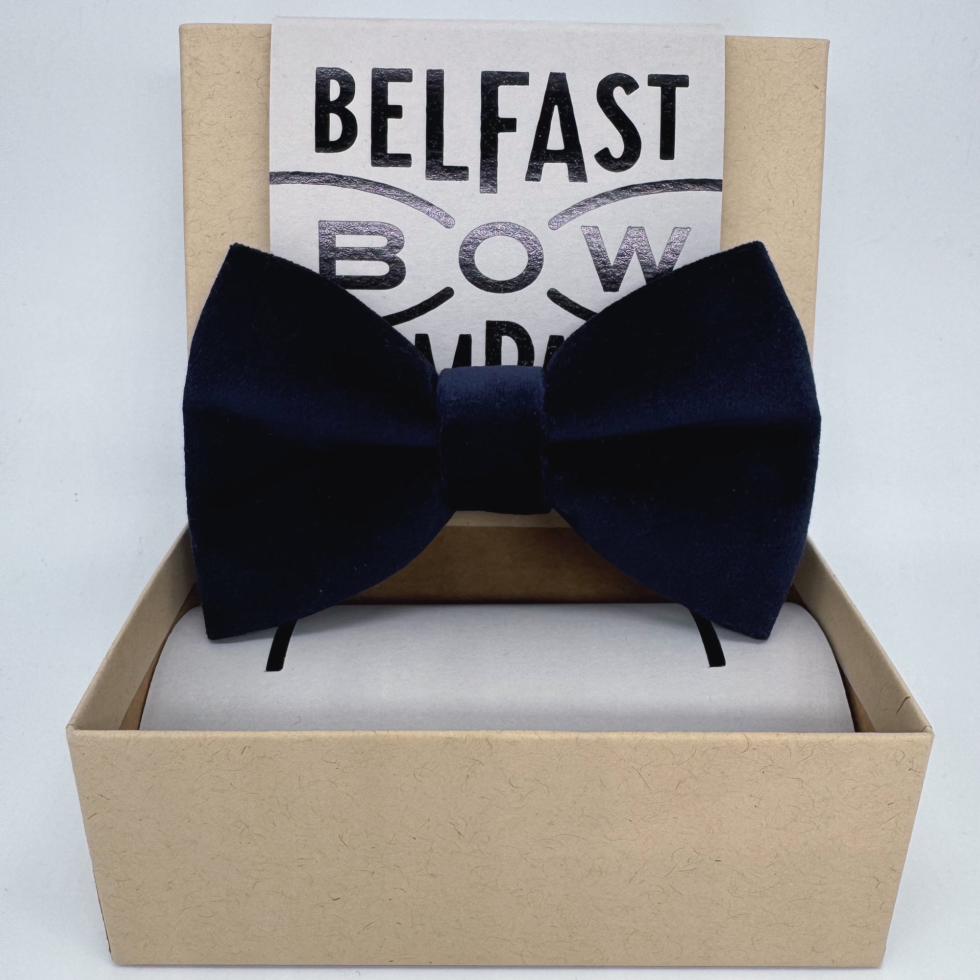 Oversized Navy Bow Tie in Velvet