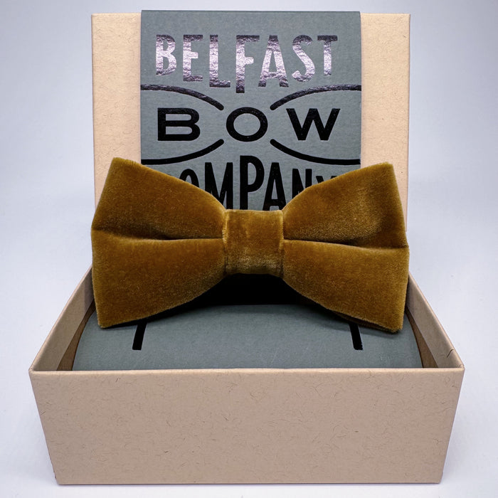Ochre Gold Velvet Bow Tie by the Belfast Bow Company